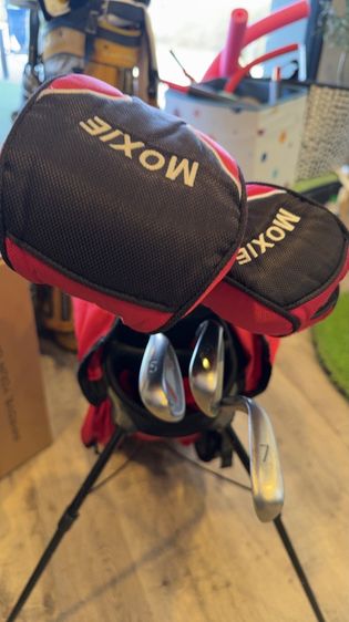 ไม้เด็ก ของ Ping รูปที่ 2