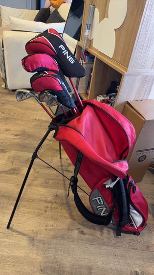 ไม้เด็ก ของ Ping