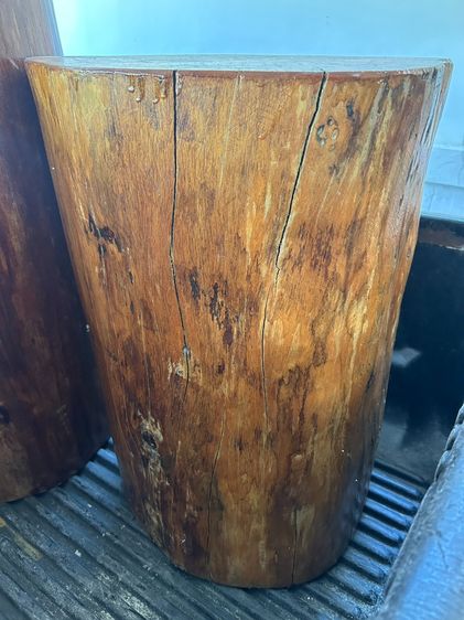 ตอไม้มาฮอกกานี แท้ธรรมชาติ ราคาถูก รูปที่ 7