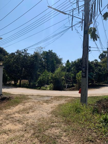 ขายที่ดินสันทราย ต.ป่าไผ่ ใกล้ตลาดป่าเหมือด ม.แม่โจ้ รูปที่ 3