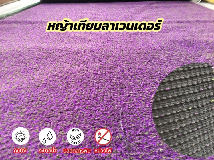 หญ้าเทียมแบ่งตัดขนาด2x1เมตร  รูปที่ 9