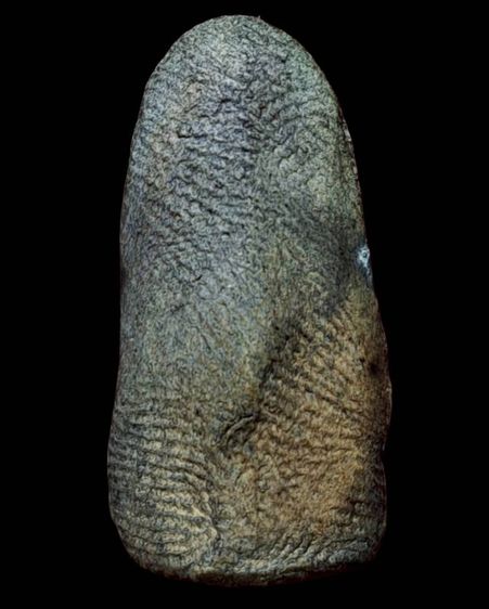 พระรอด รูปที่ 2