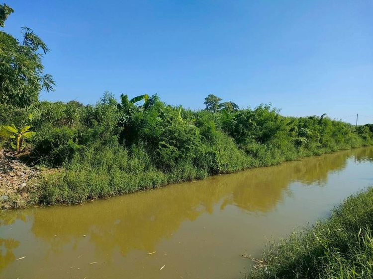 ขายที่ดินสุพรรณบุรี รูปที่ 4