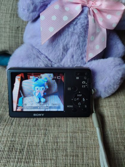 Sony  dsc-w310 รูปที่ 8
