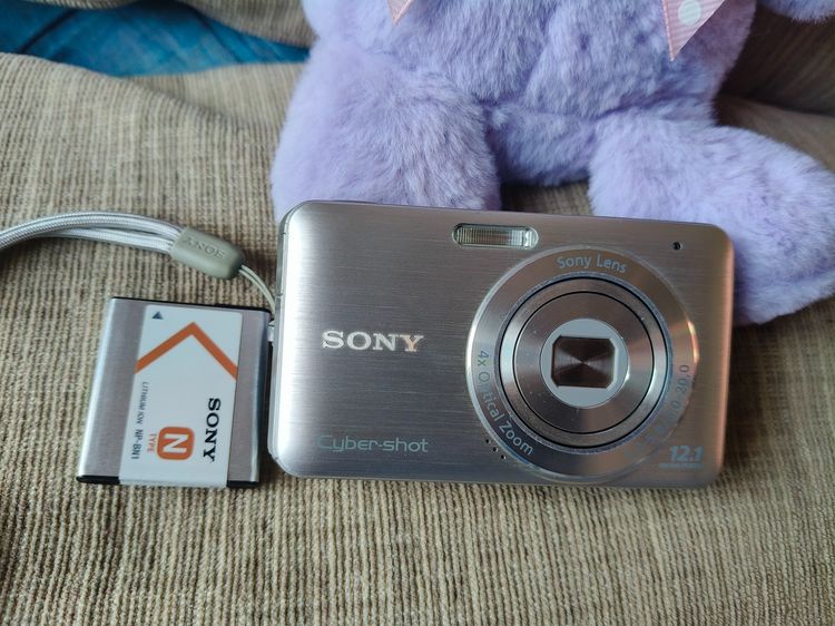Sony dsc-w310