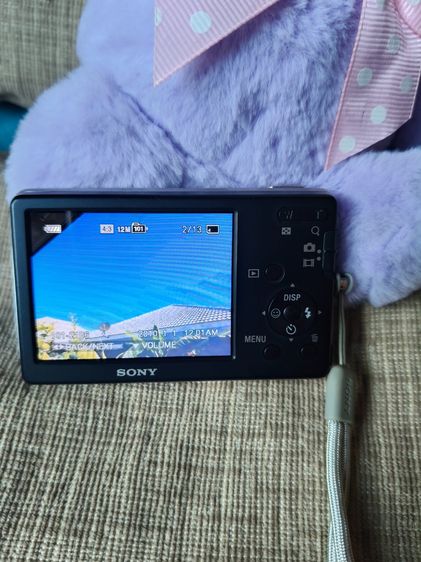 Sony  dsc-w310 รูปที่ 7