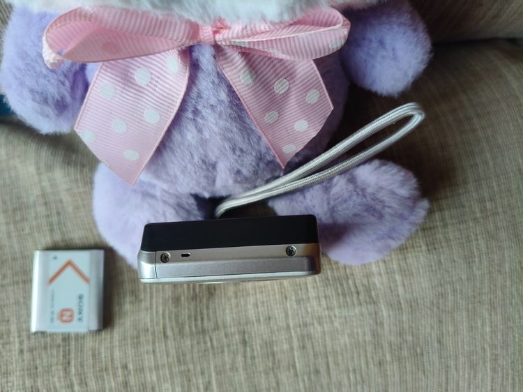 Sony  dsc-w310 รูปที่ 4