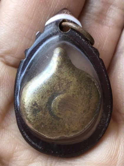 เต่าเก่าๆ รูปที่ 2