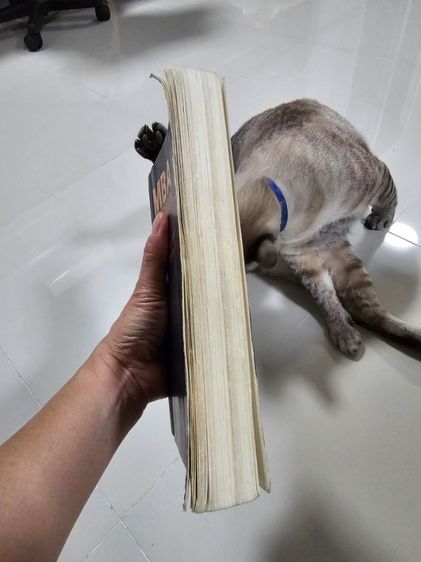 หนังสือ MBA Handbook รูปที่ 2