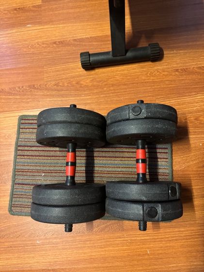 ดัมเบล รูปที่ 3