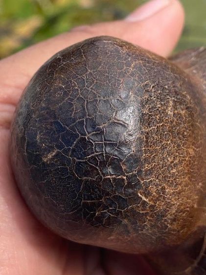 เครื่องราง รูปที่ 4