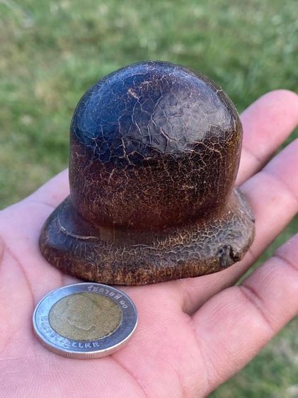 เครื่องราง รูปที่ 9