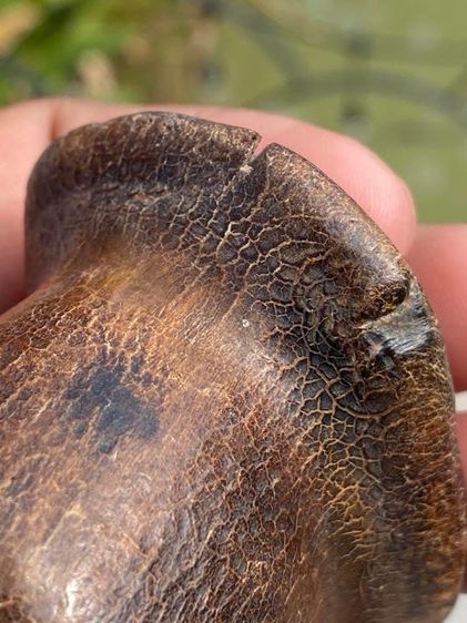 เครื่องราง รูปที่ 5