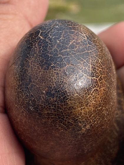 เครื่องราง รูปที่ 9