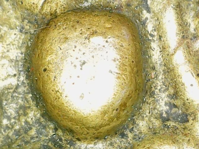 หลวงพ่อเงิน รูปที่ 13