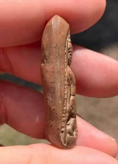 พระลีลาเม็ดขนุน รูปที่ 4