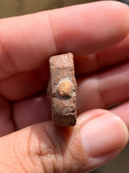 หลวงพ่อปานขี่ไก่ รูปที่ 3