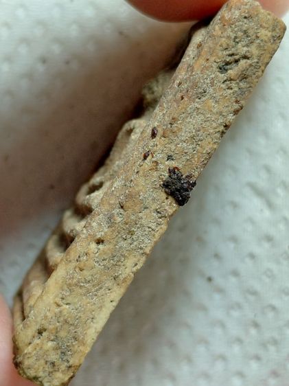 พิมพ์ใหญ่วัดระฆัง รูปที่ 3