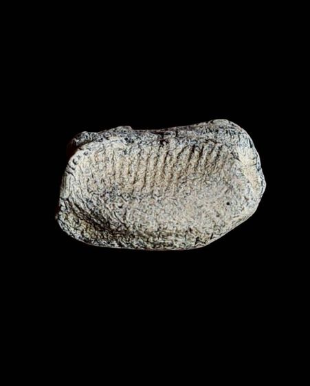 พระรอด รูปที่ 7