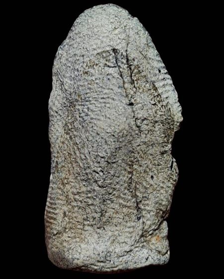 พระรอด รูปที่ 6