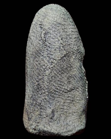 พระรอด รูปที่ 3