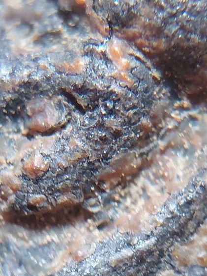 พระปิดตา รูปที่ 11