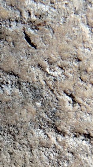 พระสมเด็จวัดระฆัง บางขุนพรหม เกศไชโย หลวงปู่ภู หลวงปู่นาค รูปที่ 14