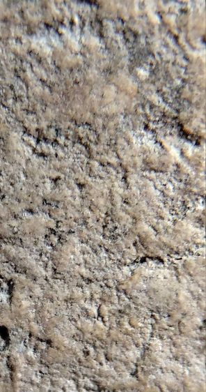 พระสมเด็จวัดระฆัง บางขุนพรหม เกศไชโย หลวงปู่ภู หลวงปู่นาค รูปที่ 15