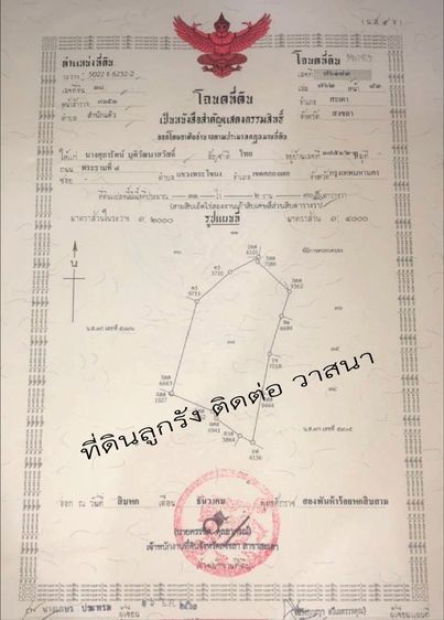 ที่ดินลูกรังทั้งผืน