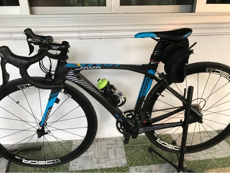 เสือหมอบ java feroce (สีน้ำเงิน)