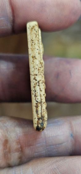 พระสมเด็จ รูปที่ 8