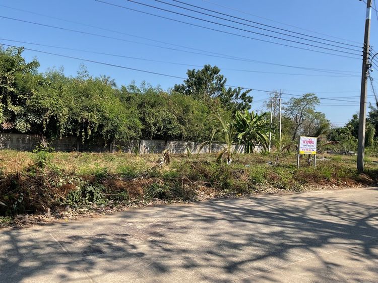 ขายที่ดินโครงการบ้านสวนนครชัยศรีติดถนนเพชรเกษม(โฉนด2แปลง)รวม155.8ตร.ว.