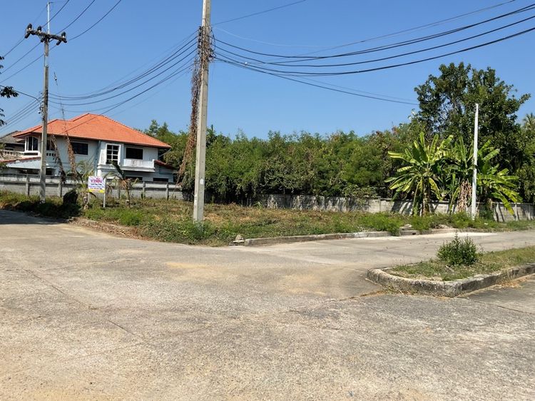 ขายที่ดินโครงการบ้านสวนนครชัยศรีติดถนนเพชรเกษม(โฉนด2แปลง)รวม155.8ตร.ว. รูปที่ 4