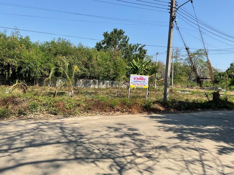 ขายที่ดินโครงการบ้านสวนนครชัยศรีติดถนนเพชรเกษม(โฉนด2แปลง)รวม155.8ตร.ว. รูปที่ 2