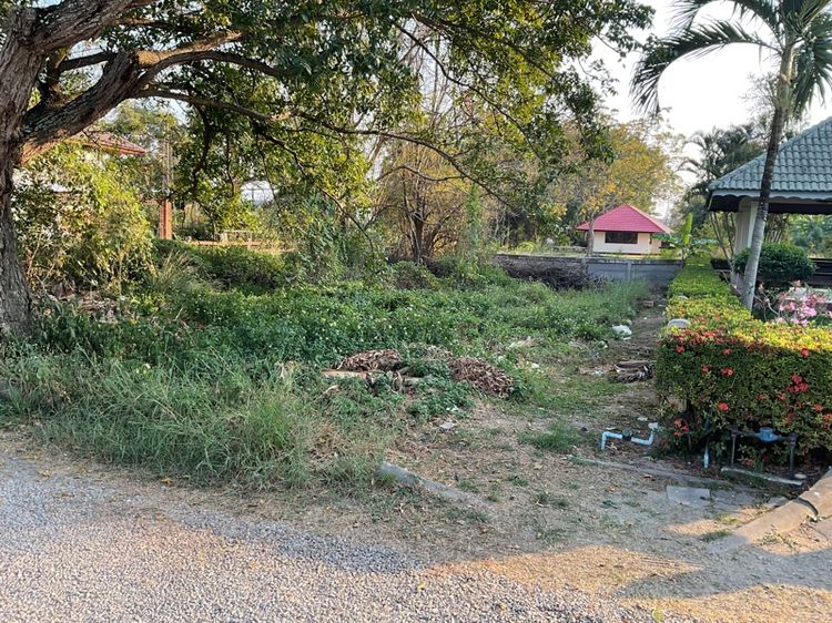 ใช่ ขายที่ดินหมู่บ้านโครงการบางซองลากูลรีสอร์ท(ฝั่งทะเล) 2000000 B รูปที่ 3