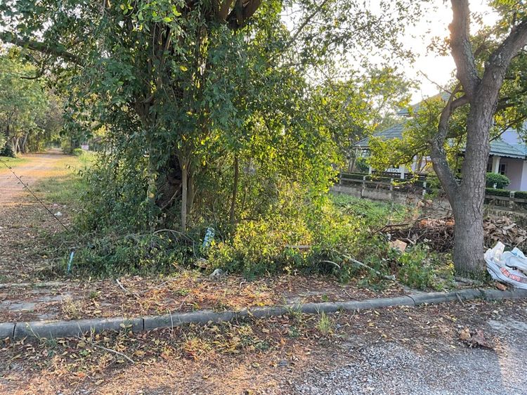 ใช่ ขายที่ดินหมู่บ้านโครงการบางซองลากูลรีสอร์ท(ฝั่งทะเล) 2000000 B รูปที่ 2