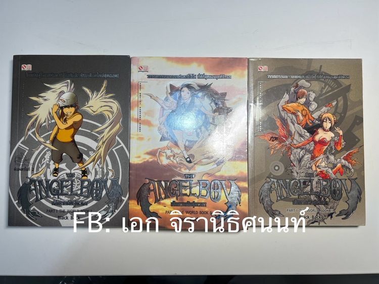 นิยายแฟนตาซี เด็กชายพันธุ์เทวดา