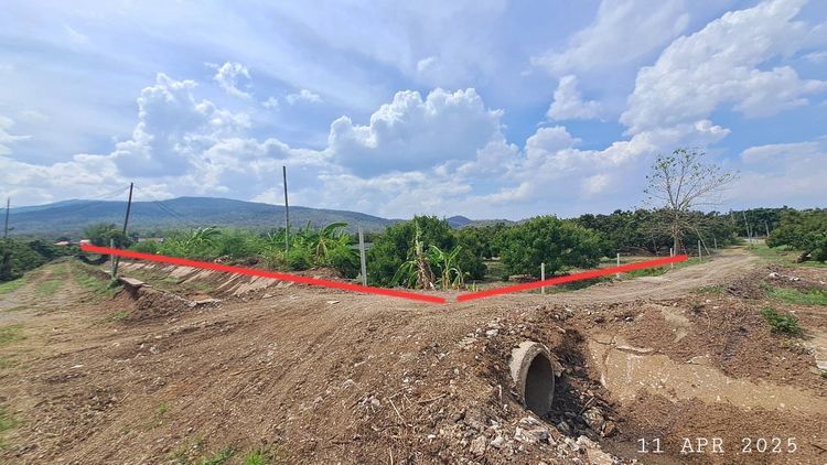 เจ้าของขายเอง สวนลำไยบ่อปลาเชิงเขา อ.จอมทอง จ.เชียงใหม่ ห่างถนนสี่เลนส์เพียง 900 เมตร  รูปที่ 4