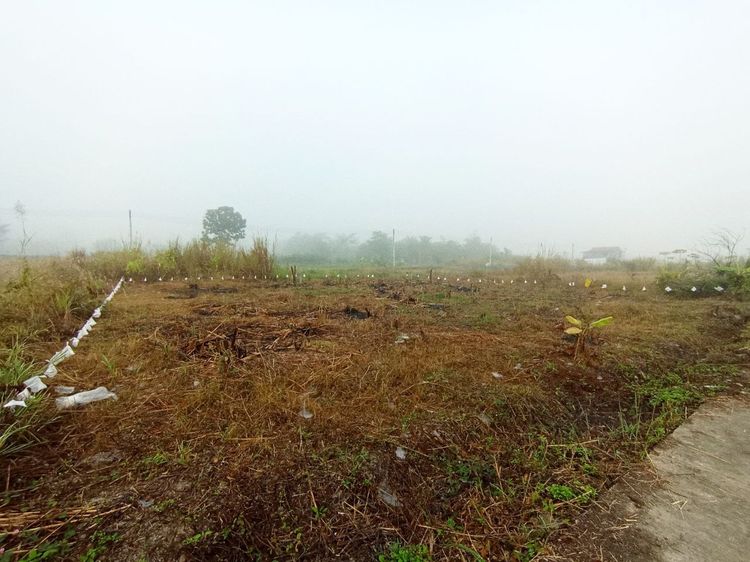 พื้นที่ 100 ตรว. เหมาะสำหรับสร้างบ้าน🏡หรือเก็บไว้เก็งกำไร💸 รูปที่ 3