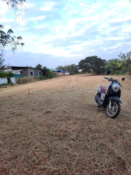 ขายให้เช่าระยะยาว ที่ดินทำเลทอง เมืองลำพูน ติดถนน ใกล้แหล่งชุมชน เจ้าของขายเอง ยินดีรับนายหน้าค่ะ  รูปที่ 4