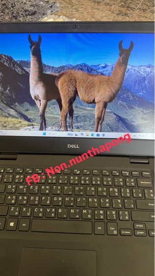 Dell Latitude 3400 มือสอง ทน อึด ครบพอร์ต