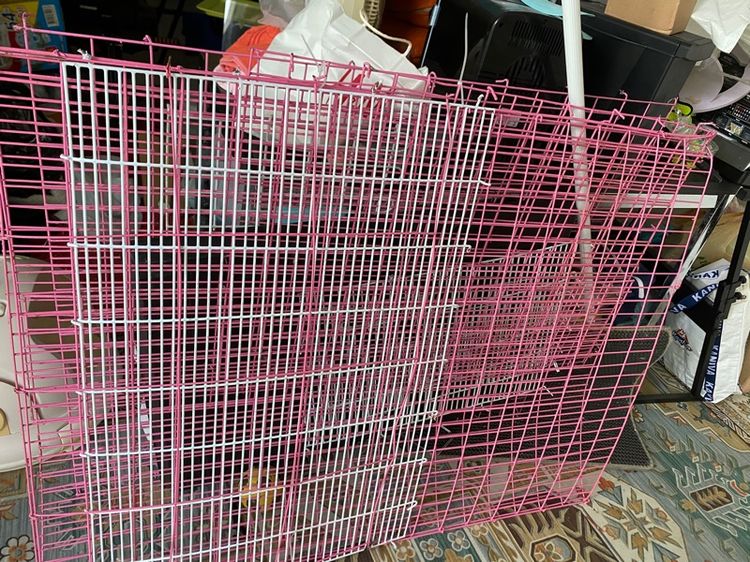 วิลล่าแมว กรงแมว บ้านแมว โอ่งแมว รูปที่ 8