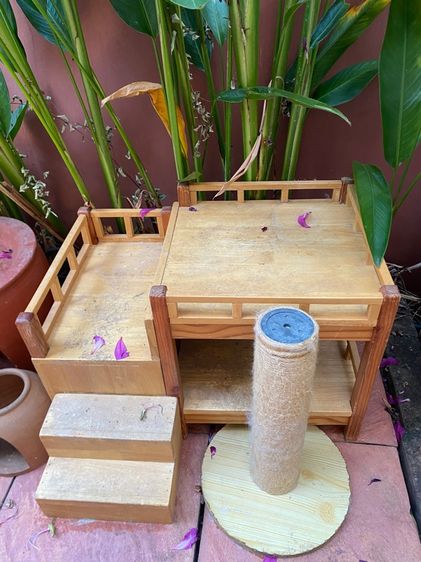 วิลล่าแมว บ้านแมว โอ่งแมว รูปที่ 2