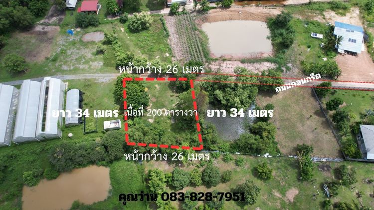ขายที่ดิน 200 ตารางวา หน้าโรงพยาบาลปากพลี นครนายก ถมเต็มพื้นที่ ขาย 7 แสนบาท รูปที่ 4