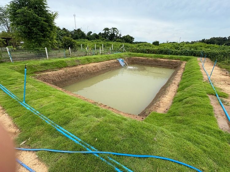 ไม่ใช่ ที่ดินกาญจนบุรี อำเภอท่าม่วง