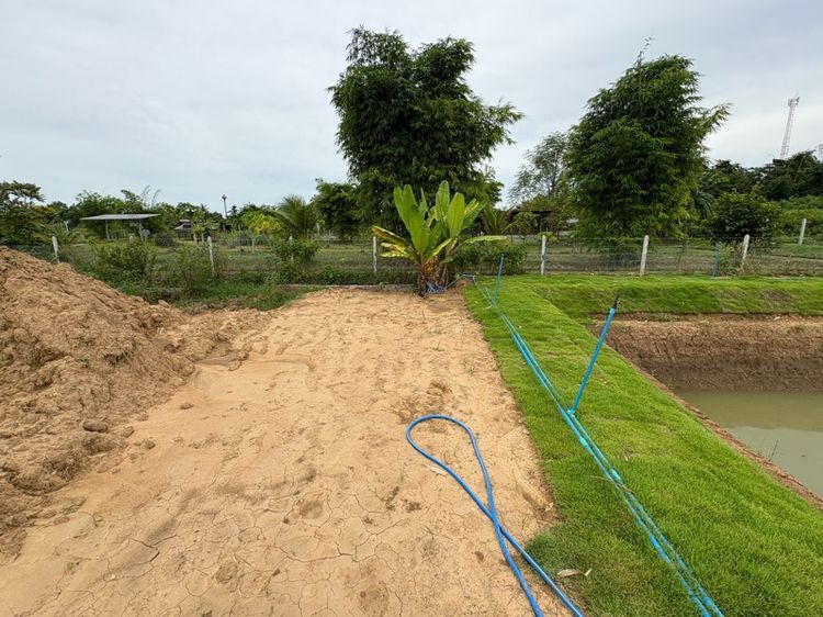 ไม่ใช่ ที่ดินกาญจนบุรี อำเภอท่าม่วง รูปที่ 2