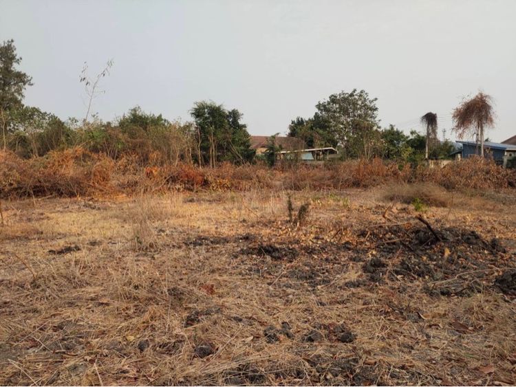 ขายที่ดินสวย กาญจนบุรี รูปที่ 4