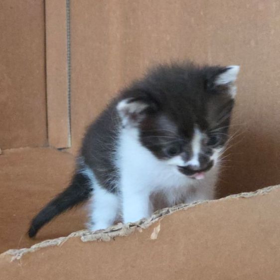 ฟรีไม่มีค่าใช้จ่าย