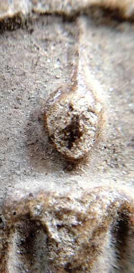 พระสมเด็จวัดระฆัง บางขุนพรหม เกศไชโย หลวงปู่ภู หลวงปู่นาค