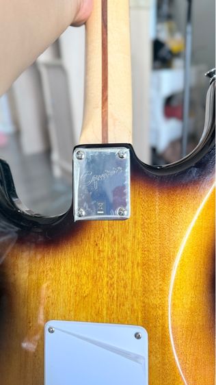 กีต้าร์ไฟฟ้า รูปที่ 9